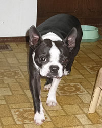 Baxter