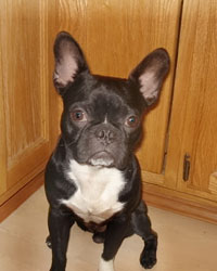 Sebastian
