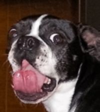 Frank