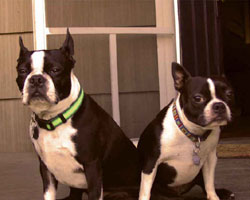 Riley and Alice