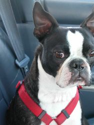 Sebastian