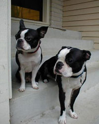 Toby and Kali