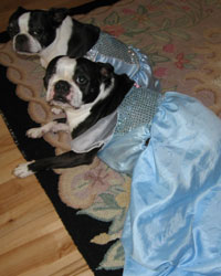 Toby and Kali